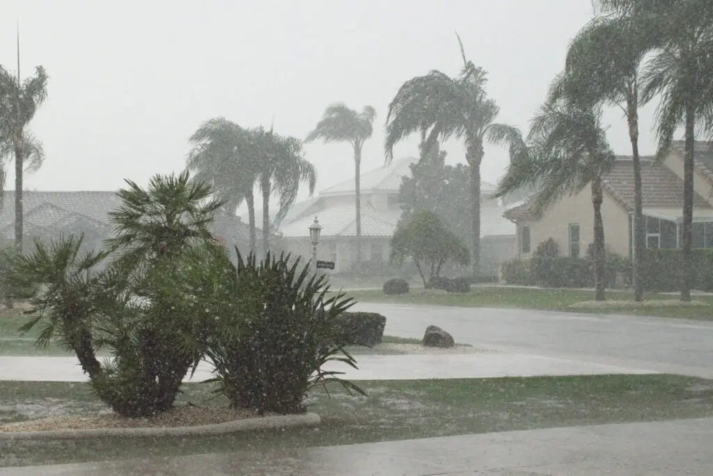 Venice: Is Your Roof Ready for Hurricane Season? 5 Things to Check