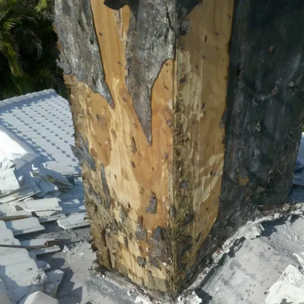 Close-up of tree trunk impact on a shingle roof, highlighting structural damage and the need for a professional roof inspection by Kuykendall Roofing